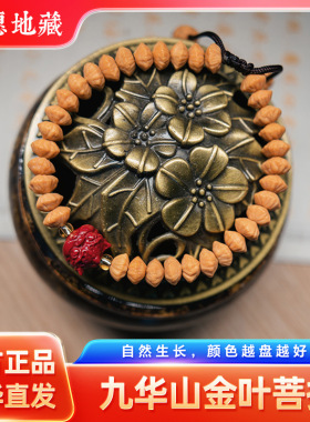 九华山金钱菩提文玩手串金叶手持佛珠莲花子谛听朱砂避挡平安手链