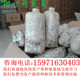 萌发菌 萌发率高 天麻树叶萌发菌