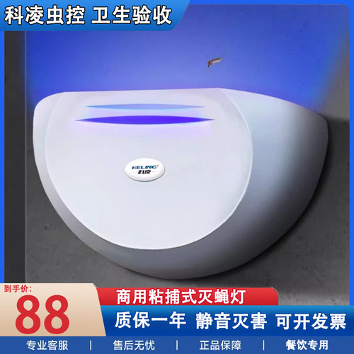 科凌商用粘捕式灭蝇灯灭蚊灯