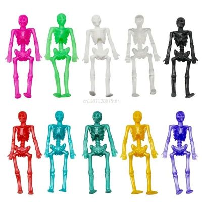 All Categories