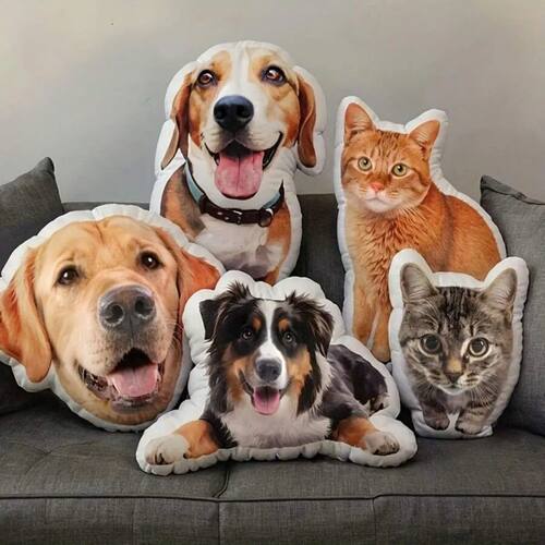 Custom Ugly Cat Dog Zany 3D Shape Pillow Personalized Pet Pi