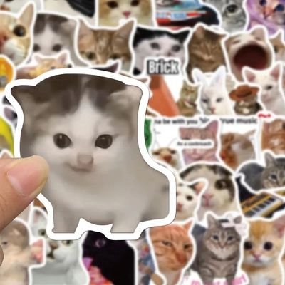 10//50pcs Funny Cat MEME Graffiti Stickers Decals DIY Scrapb