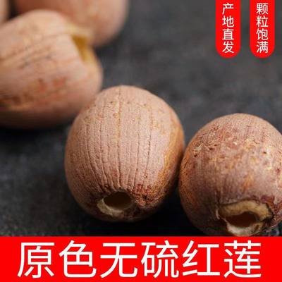 湖南湘潭特产莲子新货无芯红莲子去芯干货500g特产空心红皮莲籽