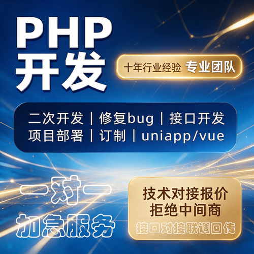 api接口对接开发定制三方接口二次开发技术服务系统源码定制开发