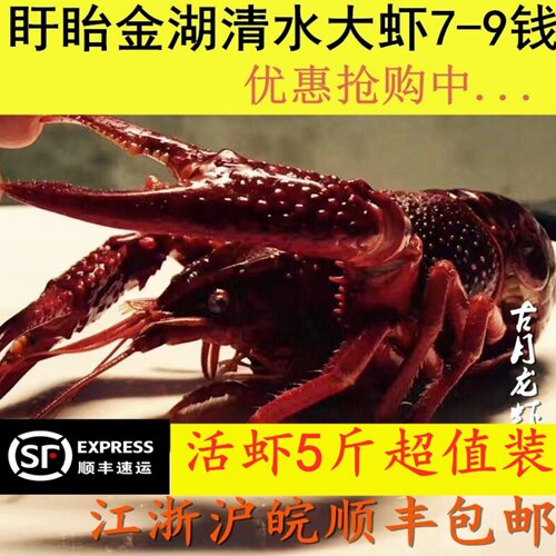 活虾古月盱眙洪泽湖清水新鲜小