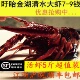 盱眙洪泽湖清水新鲜小龙虾鲜活活体生鲜大虾非麻辣尾789钱 5斤 包邮
