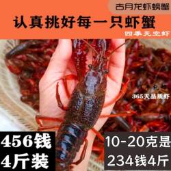 江苏盱眙清水小龙虾鲜活活体新鲜活虾水产发 批金湖淡水青虾456钱