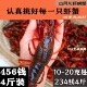 江苏盱眙清水小龙虾鲜活活体新鲜活虾水产发 批金湖淡水青虾456钱