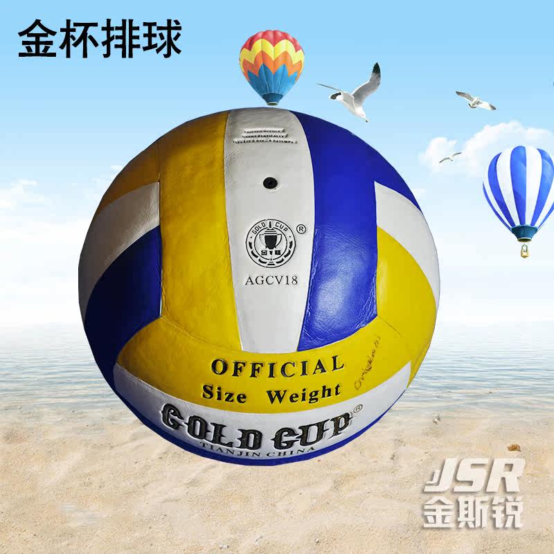 Ballon de volley-ball - Ref 2013581 Image 5