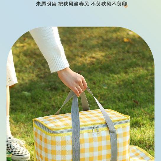 野餐篮春游可折叠户外野炊保温