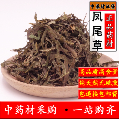 凤尾草新鲜天然中药材