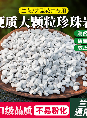 园艺无粉尘硬质大颗粒珍珠岩养花专用兰花专用植料盆栽通用营养土