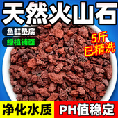 天然火山石颗粒铺面石园艺植料多肉土鱼缸养鱼乌龟造景底沙火山岩
