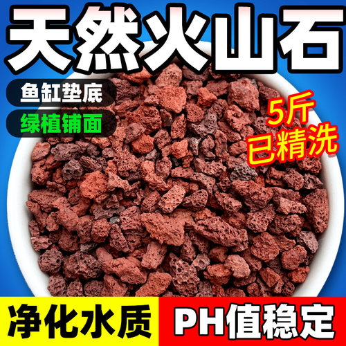 净化水质垫底养花水族造景火山石