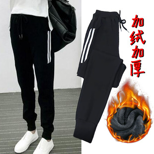 230斤大码女裤胖妹妹显瘦哈伦裤 冬季加绒加厚宽松休闲运动裤长裤