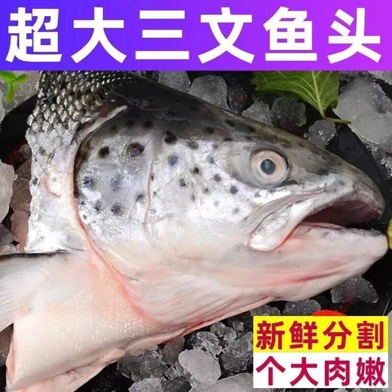【超大个】三文鱼头新鲜正宗三文鱼鱼头厂家直发大头鱼头香煎煲汤