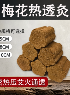 艾有康王氏热透灸梅花灸