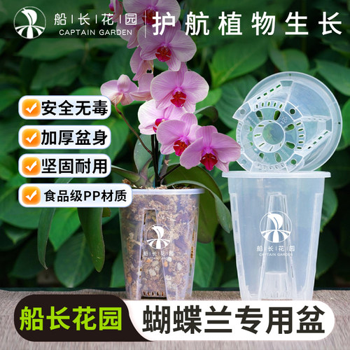 蝴蝶兰专用花盆家用透明塑料花盆