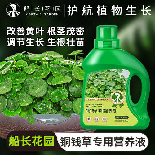 船长花园铜钱草浓缩营养液500ml