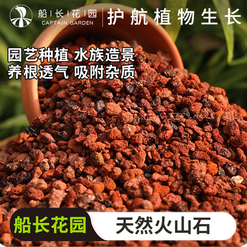 火山石颗粒多肉兰花用水族火山岩