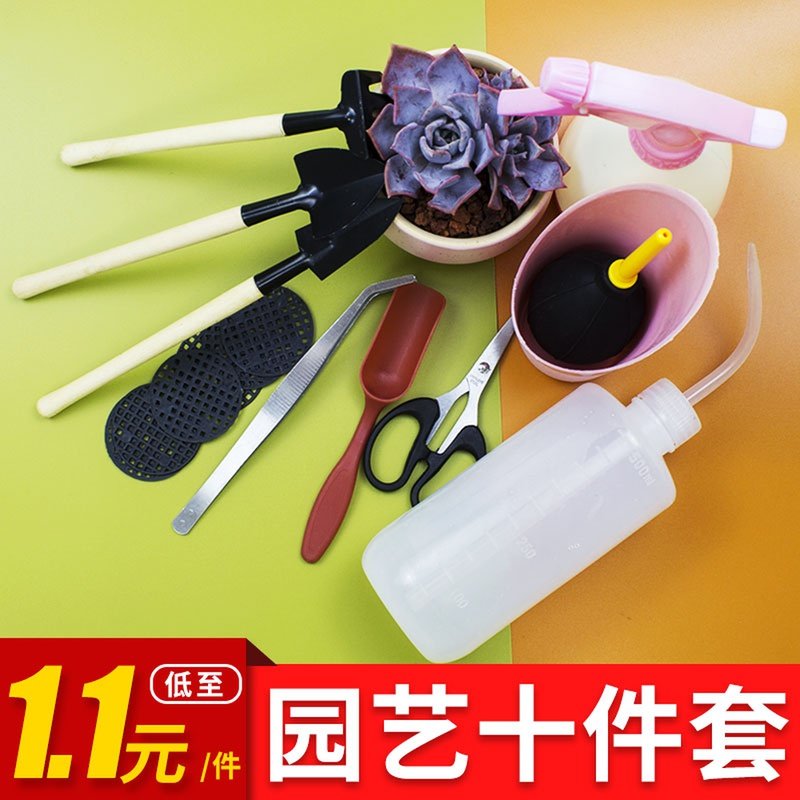 多肉种植工具套装小铲子种花气吹植物花盆垫底网吹尘器园艺三件套在类目 鲜花速递/花卉仿真/绿植园艺, 园艺用品, 其它园艺用品中 - 来自Buy2taobao.com提供专业的淘宝代购服务