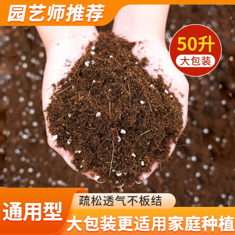 营养土养花专用家用通用泥炭土壤