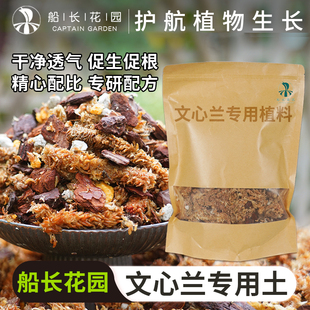 文心兰专用植料智利毛毛虫水苔蝴蝶兰石斛发酵树皮营养颗粒兰花土