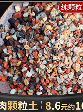 船长多肉彩虹石纯颗粒土营养土壤火山麦饭石多肉栽培土专用铺面石