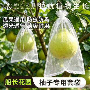 柚子套袋瓜果防鸟防虫袋透气蜜柚专用果袋沙田柚通用型尼龙网纱袋