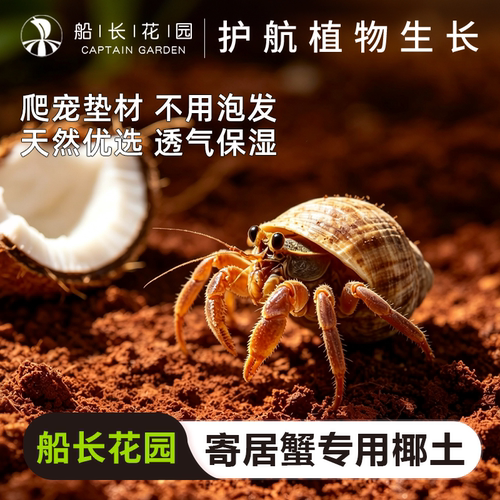 寄居蟹专用椰土乌龟冬眠椰糠垫料
