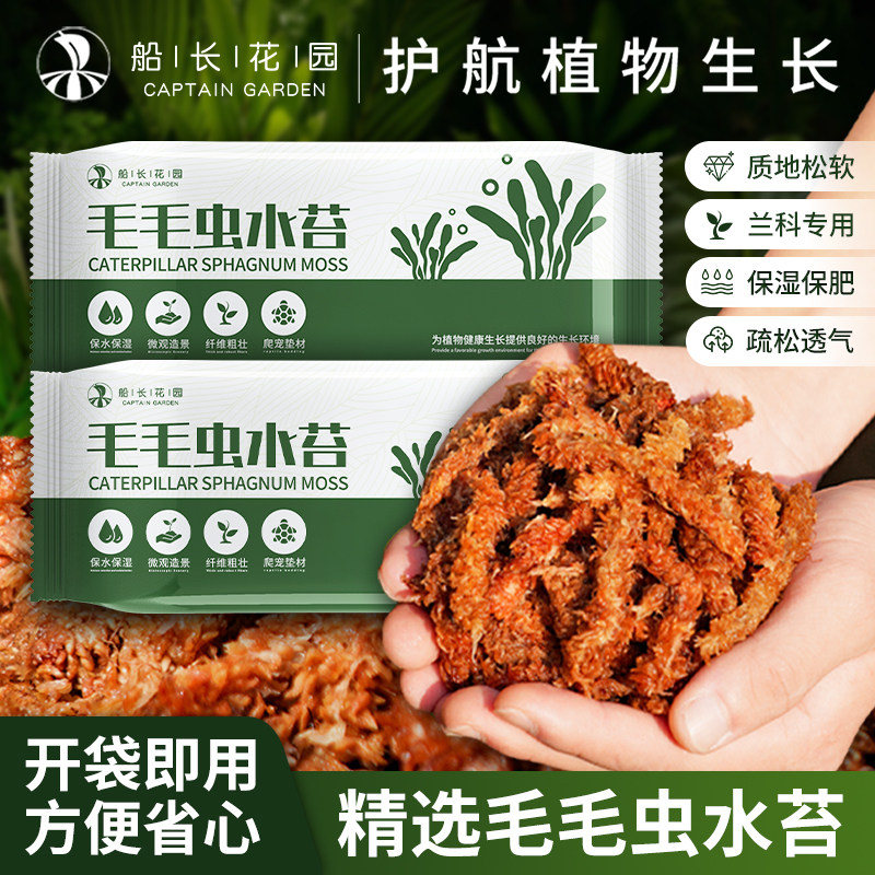 智利进口毛毛虫水苔干苔藓兰花营养土乌龟冬眠垫材蝴蝶兰专用树皮,鲜花速递/花卉仿真/绿植园艺,介质/营养土,淘宝优惠券,粉丝福利购,淘宝优惠卷