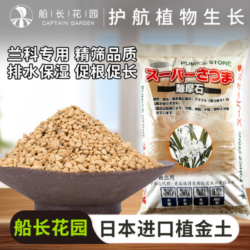 植金石日本兰花透气多肉