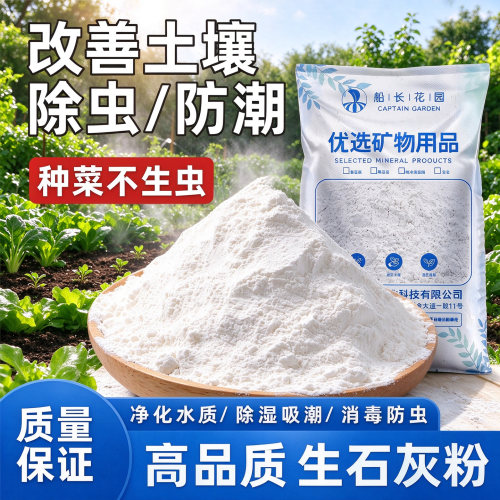 生石灰粉杀虫种菜消毒专用
