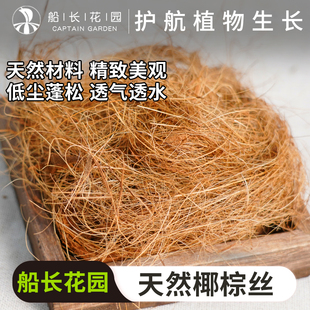 园艺椰丝铺面盆栽绿植花卉装饰透气透水保暖草丝鸟窝垫材椰棕丝