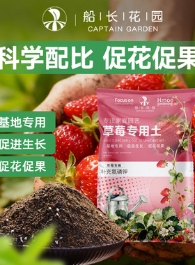 草莓专用土营养土瓜果蔬菜通用土阳台种草莓专用有机腐殖土泥炭土