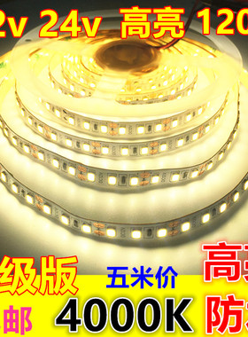 24v4000K高亮12v8mm防水120珠中性光4500K自然白太阳光led灯带条