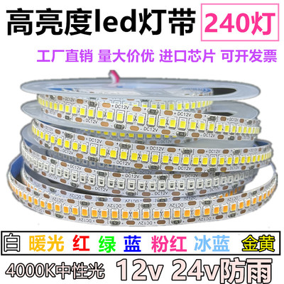 高亮12v24vled灯带单排240珠/米