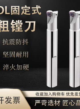 固定式粗镗刀杆双刃粗镗刀CNC加工中心TDL单刃扩孔直柄CCMT刀片