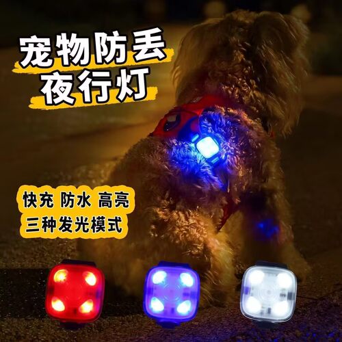 遛狗LED夜光灯可充电防走失
