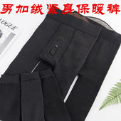 修身 包邮 美体裤 无缝一体裤 紧身加绒加厚毛棉秋裤 秋冬男保暖打底裤