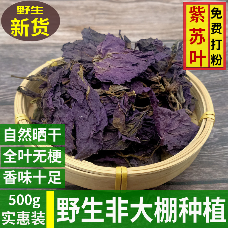 正品野生紫苏叶500g新鲜天然虾蟹