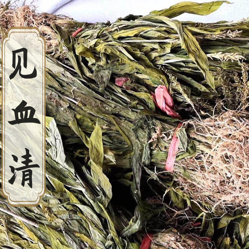 中药材 见血清 天然500g克散装包邮中草药 新鲜 干货整颗 见血青