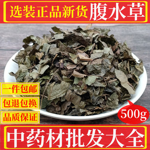 野生 腹水草500克包邮多穗草两头爬可搭红大戟芫花中药材店铺大全