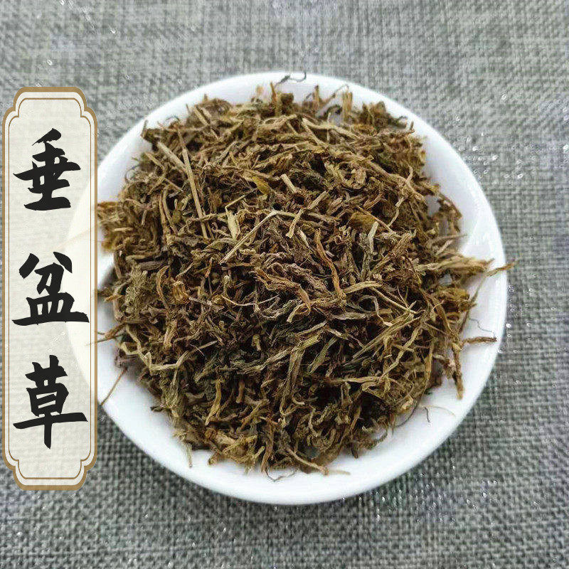 垂盆草中药材正品500g干货垂盆草茶包邮农家采摘自然晒干无硫品质