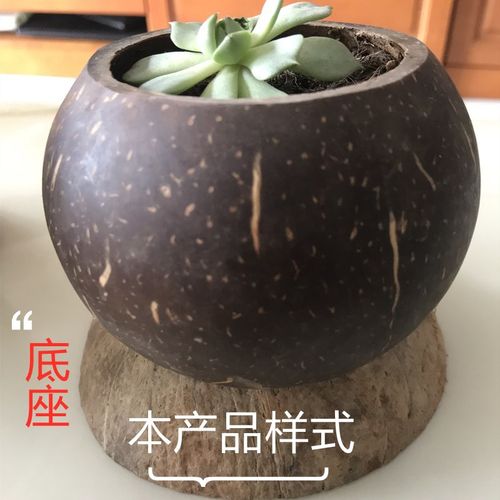 椰子底座托盘商用炖盅个起包邮