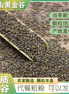 新黑金谷米500g陕西正宗秦岭优质黑冬谷血燕麦米菰米杂粮豆浆伴侣