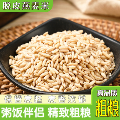 新货燕麦米仁去皮谷物粥饭