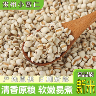小薏仁米 5斤 农家新货小薏仁米红豆薏米粥薏苡仁米非炒熟