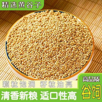 黄谷子优质鹦鹉粮/黄谷子/牡丹玄凤虎皮粮/鸟粮鸟食麻雀带壳小米