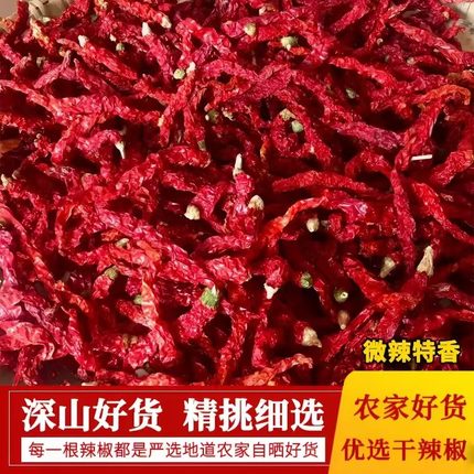 2026年新鲜二荆条江西红辣椒农家皱皮椒特香湖南贵州干辣椒炒菜香